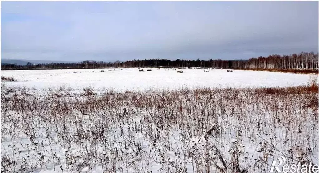 Участок в Кировская область, Киров городской округ, д. Гуси ул. ... - Фото 0