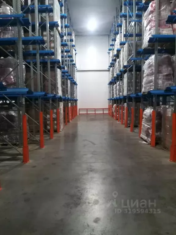 Склад в Новосибирская область, Новосибирск ул. Декабристов, 247к4 (300 ... - Фото 0