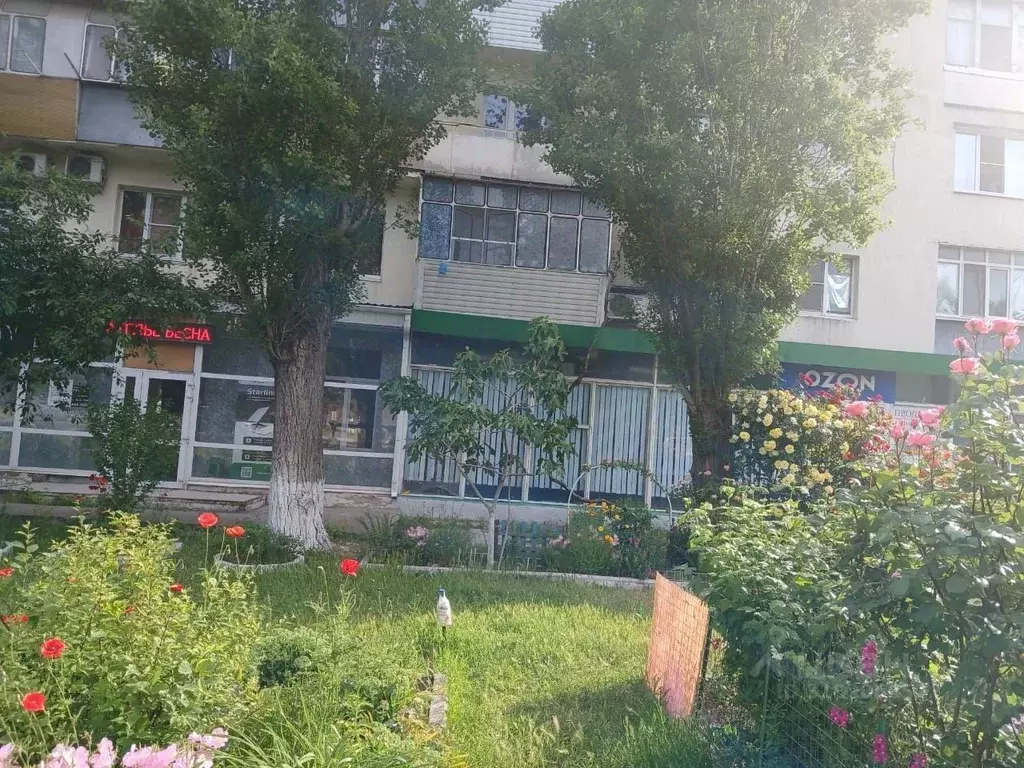 Помещение свободного назначения в Краснодарский край, Новороссийск ул. ... - Фото 1