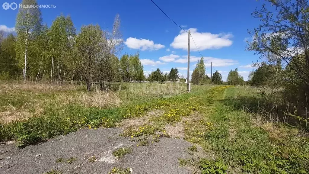 Участок в Стрежевой, СНТ Ветеран (15.5 м) - Фото 0