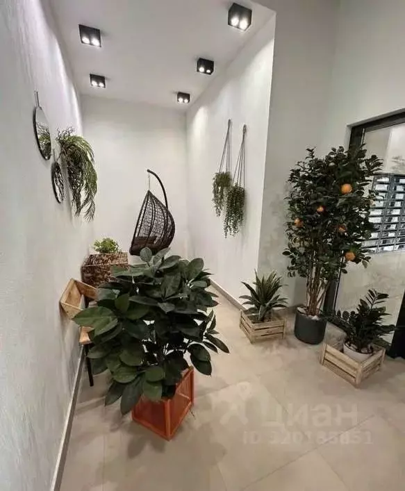 Студия Иркутская область, Иркутск ул. Пискунова, 138 (31.0 м) - Фото 1