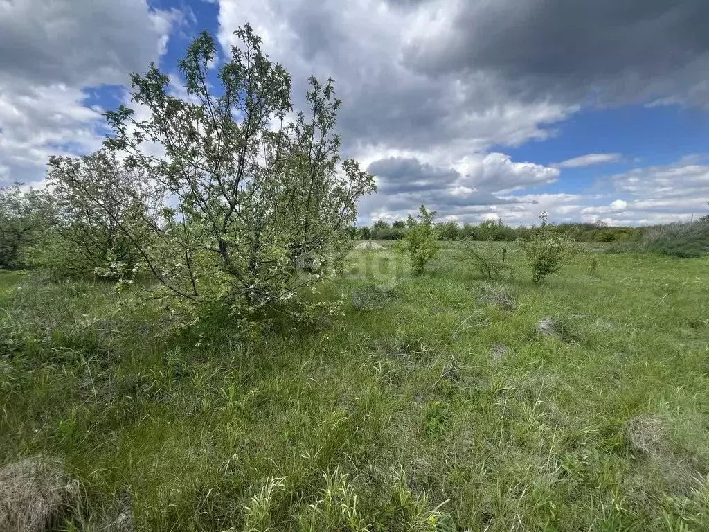 Участок в Воронежская область, Рамонский район, с. Русская Гвоздевка ... - Фото 0