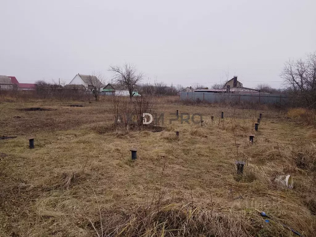 Участок в Воронежская область, Хохольское городское поселение, с. ... - Фото 1