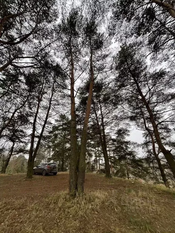 Участок в Московская область, Истра муниципальный округ, д. Лешково 19 ... - Фото 0