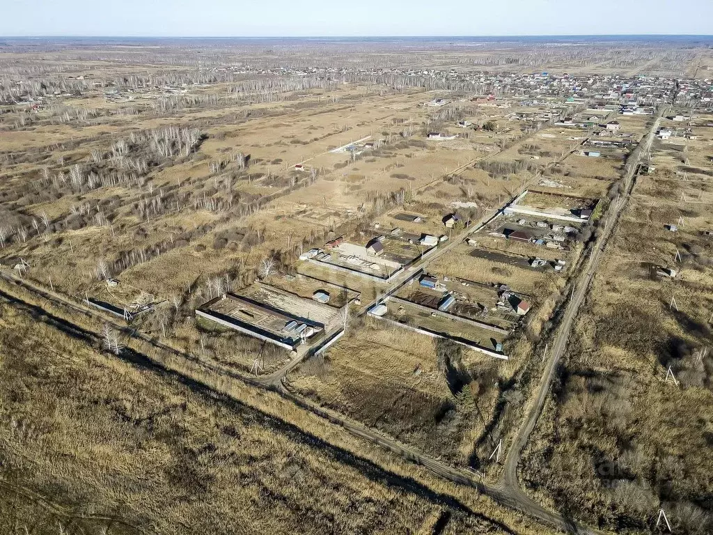 Участок в Тюменская область, Тюмень Поле Чудес садовое товарищество, .,  Купить земельный участок в Тюмени, ID объекта - 20006593739