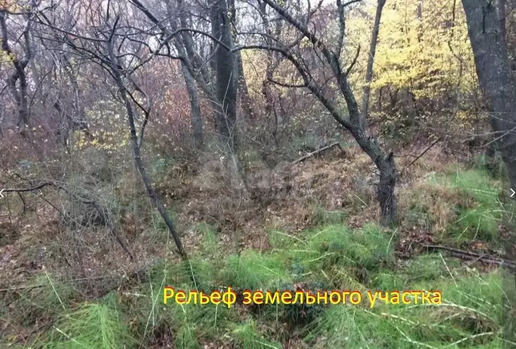Участок в Крым, Ялта муниципальный округ, с. Оползневое ш. ... - Фото 2