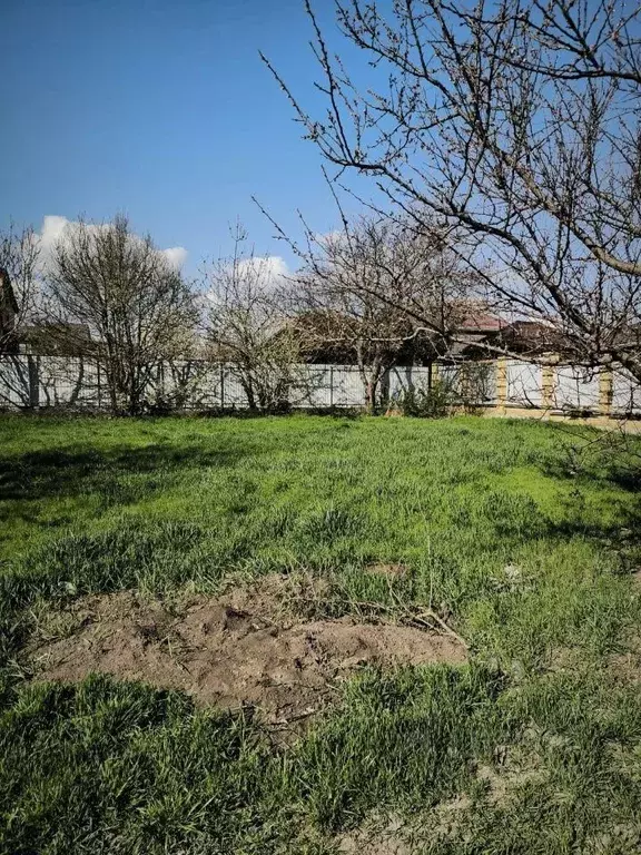 Участок в Ростовская область, Мясниковский район, Краснокрымское ... - Фото 2