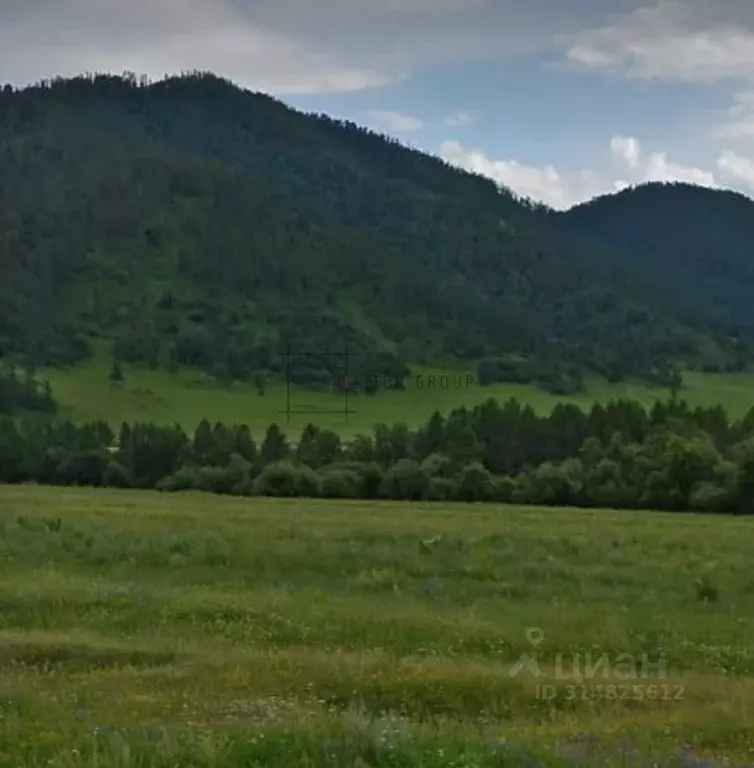 Участок в Алтай, Онгудайский район, с. Каракол  (220.05 сот.) - Фото 0