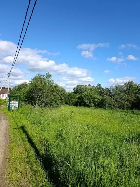 Участок в Ленинградская область, Ломоносовский район, Ропшинское ... - Фото 1