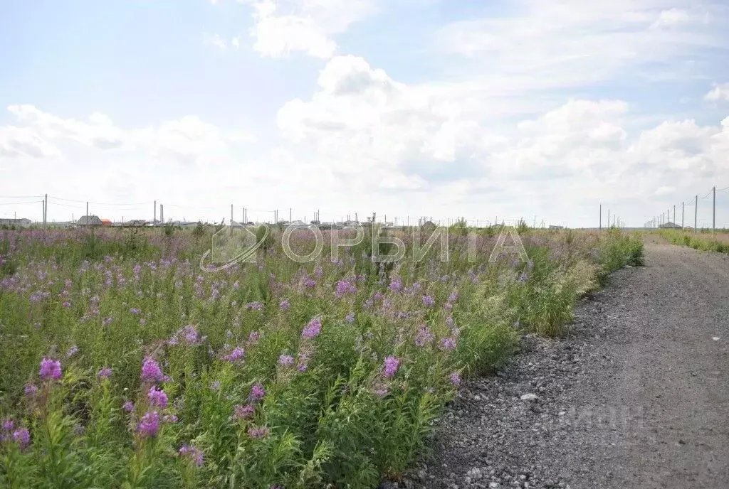 Участок в Тюменская область, Тюменский район, д. Малиновка  (15.0 ... - Фото 0