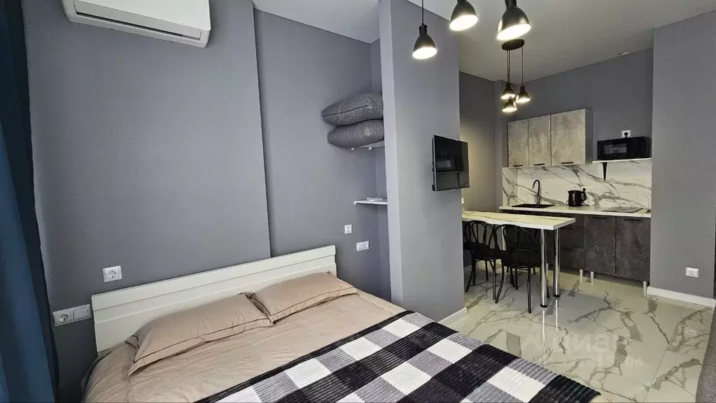 Студия Краснодарский край, Сочи ул. Ленина, 290/6 (24.9 м) - Фото 1
