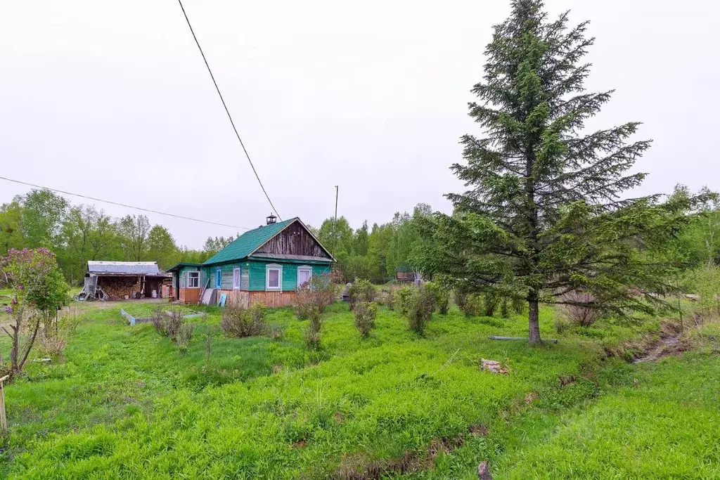 Дом в Хабаровский край, Имени Лазо район, с. Кругликово Лесная ул. (29 ... - Фото 0