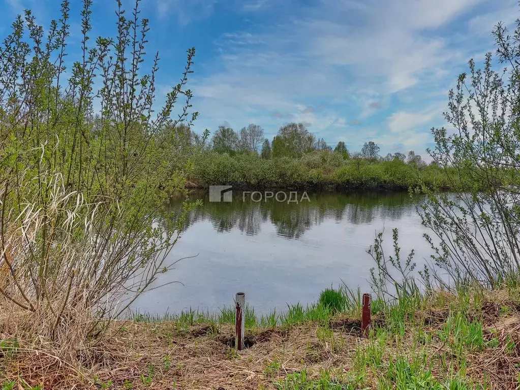 Участок в Новосибирская область, Колыванский район, Здоровье НДСТ  ... - Фото 1