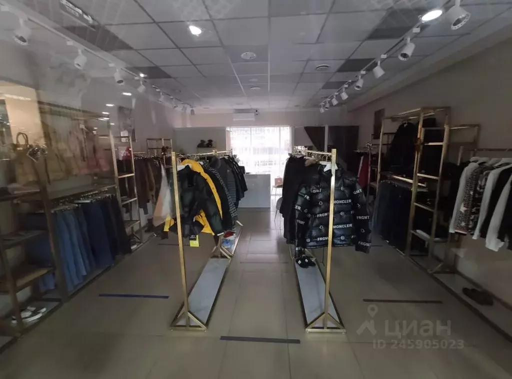 Торговая площадь в Омская область, Омск ул. Фрунзе, 1к4 (25 м) - Фото 2