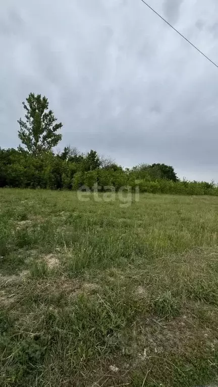 Участок в Белгородская область, Яковлевский городской округ, с. ... - Фото 1