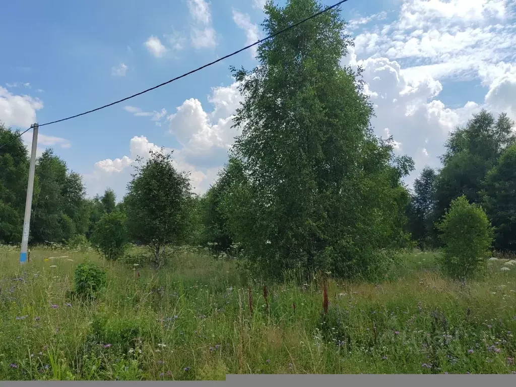 Участок в Московская область, Чехов муниципальный округ, д. Сенино  ... - Фото 0