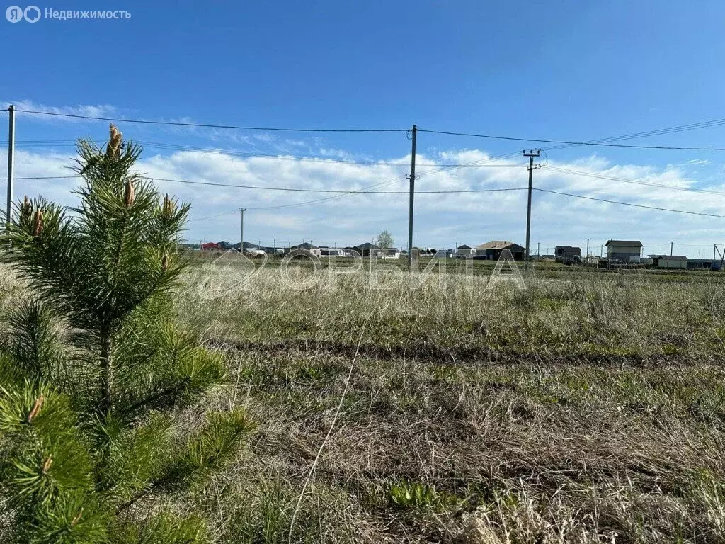 Участок в Тюменский район, деревня Елань (10.61 м) - Фото 1