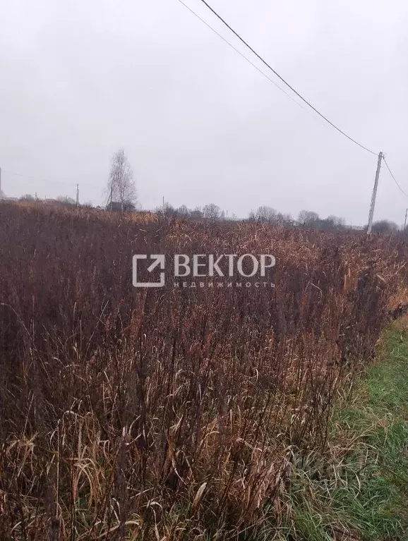 Участок в Костромская область, Кострома Соколиное Гнездо кп, 1 (7.2 ... - Фото 1