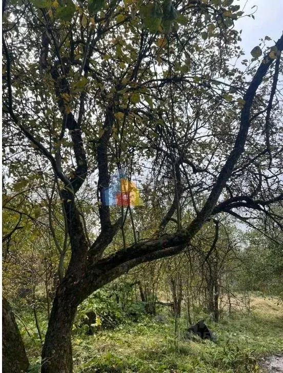 Участок в Тульская область, Тула Новомедвенский проезд, 23 (6.0 сот.) - Фото 2