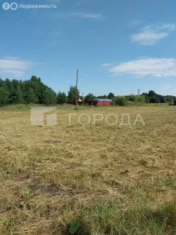 Участок в Первомайский район, посёлок Новый, Школьная улица, 98 (12 м) - Фото 2