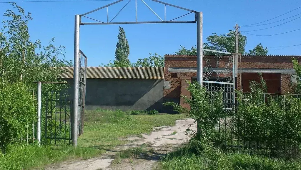 Помещение свободного назначения в Саратовская область, Красный Кут ... - Фото 1