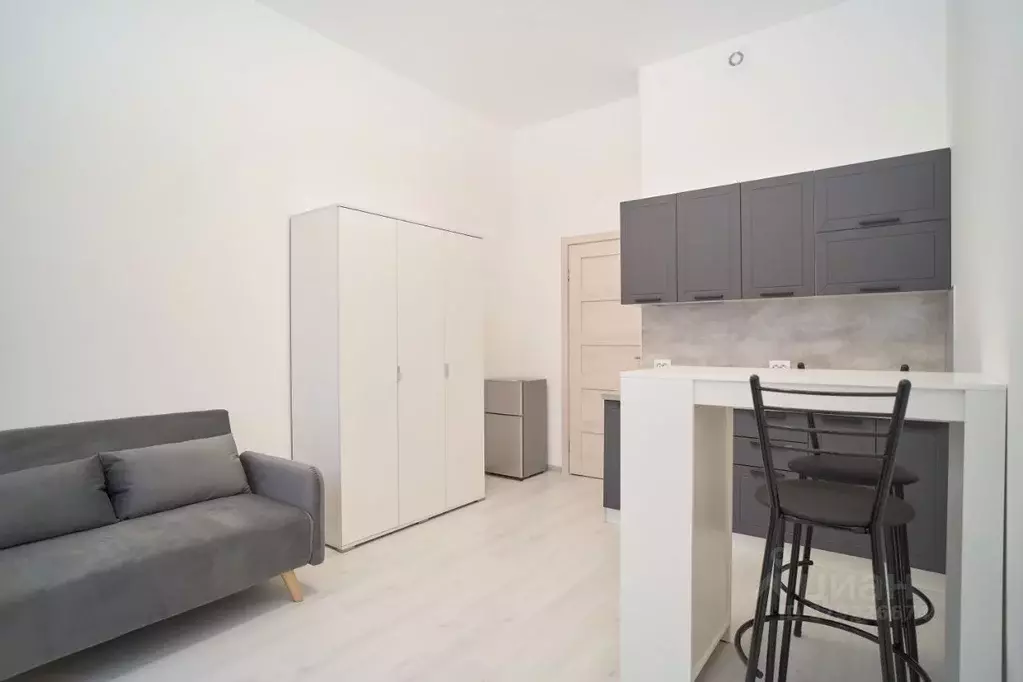 Студия Санкт-Петербург Пулковское ш., 73к7 (20.1 м) - Фото 1