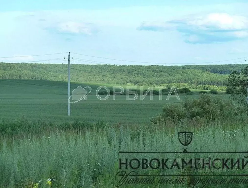 Участок в Тюменская область, Тюменский район, Новокаменский кп ул. ... - Фото 0