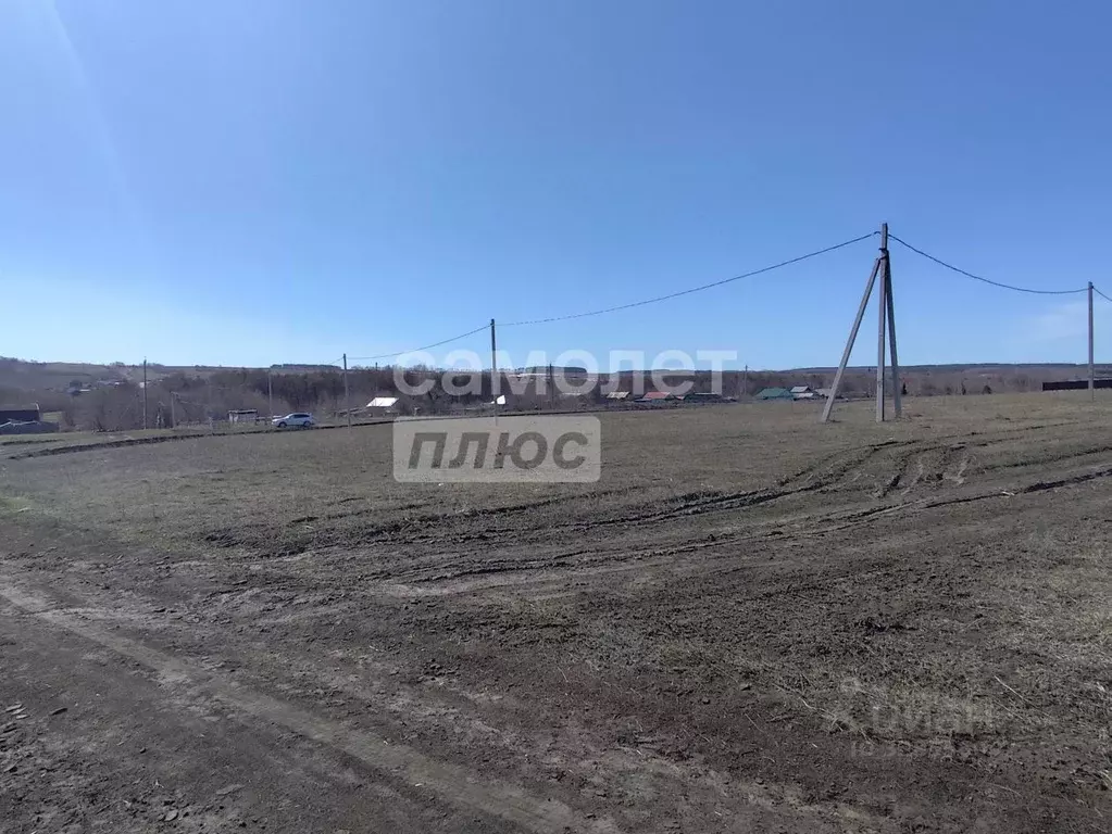 Участок в Самарская область, Сызранский район, с. Заборовка Трудовая ... - Фото 2