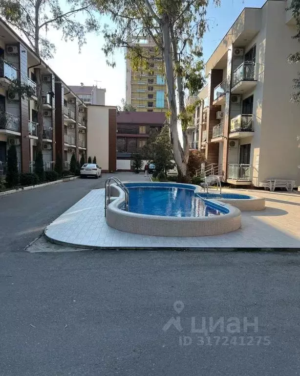 Студия Краснодарский край, Сочи ул. Ленина, 219А/1 (28.0 м) - Фото 1