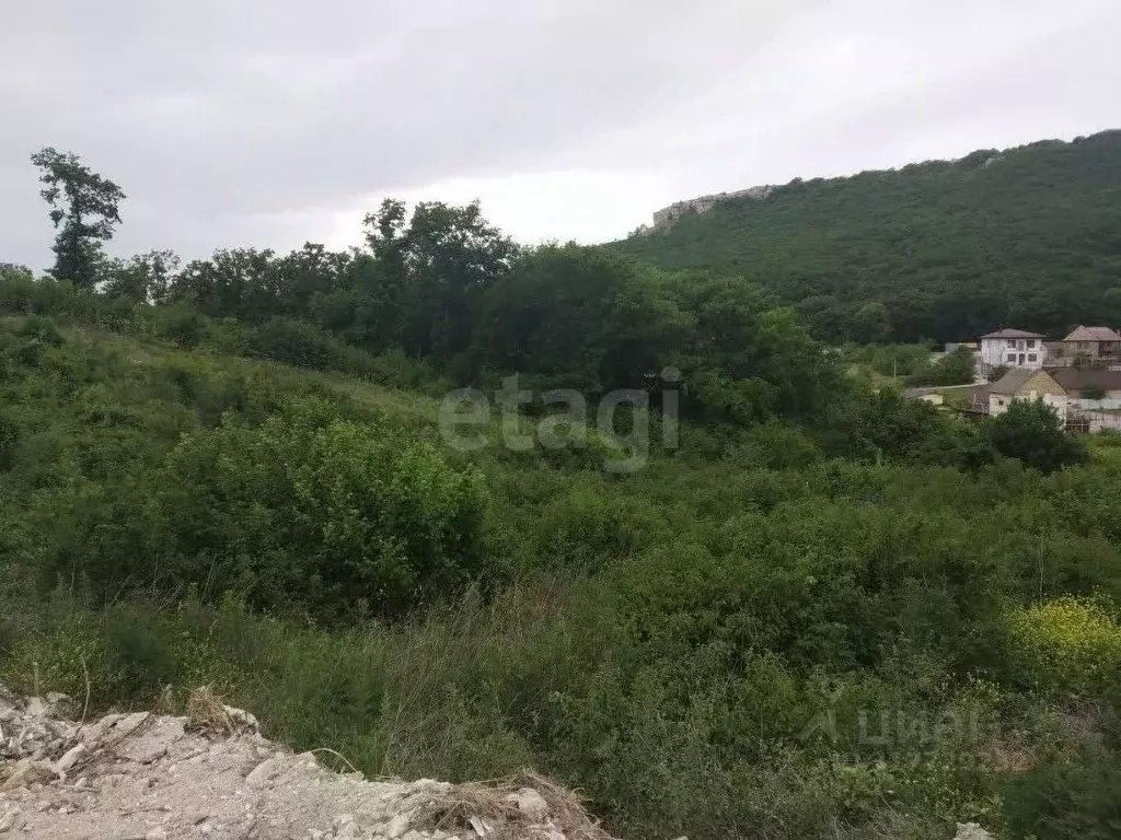 Участок в Крым, Симферопольский район, Перовское с/пос, Лесное ТСН  ... - Фото 1