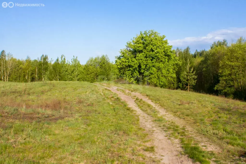 Участок в Нижегородская область, муниципальный округ Бор, деревня ... - Фото 2