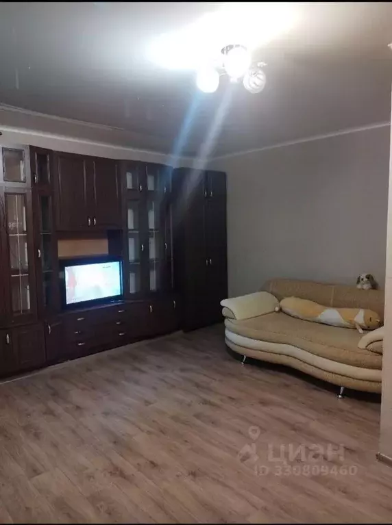 1-к кв. Пензенская область, Пенза ул. Кулибина, 13 (39.0 м) - Фото 1
