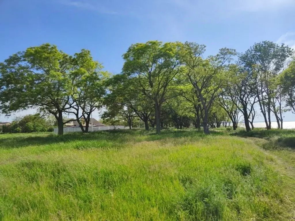 Участок в Краснодарский край, Ейский район, Кухаривское с/пос, с. ... - Фото 1