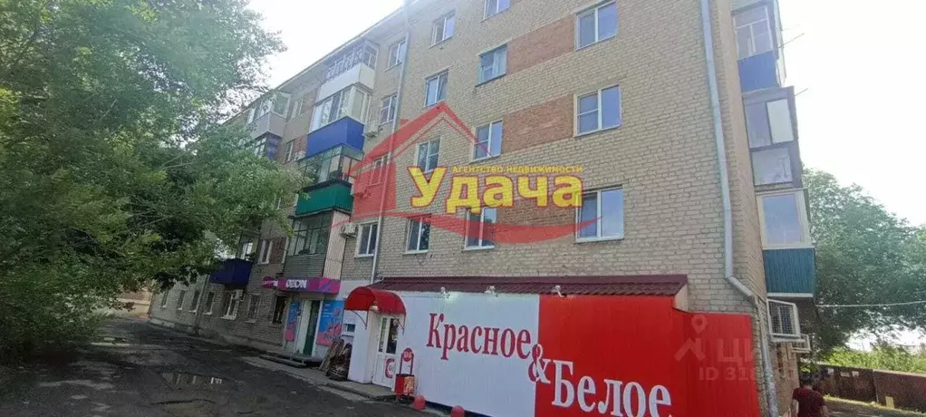 3-к кв. Оренбургская область, Орск Вокзальное ш., 7А (50.1 м) - Фото 0