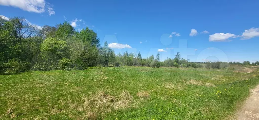 Участок 16 сот. (ИЖС) - Фото 0