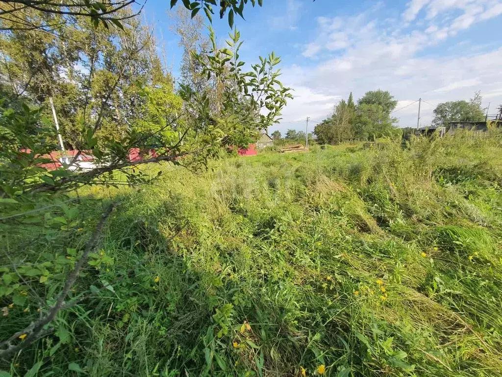 Участок в Еврейская автономная область, Смидовичский район, пос. ... - Фото 2