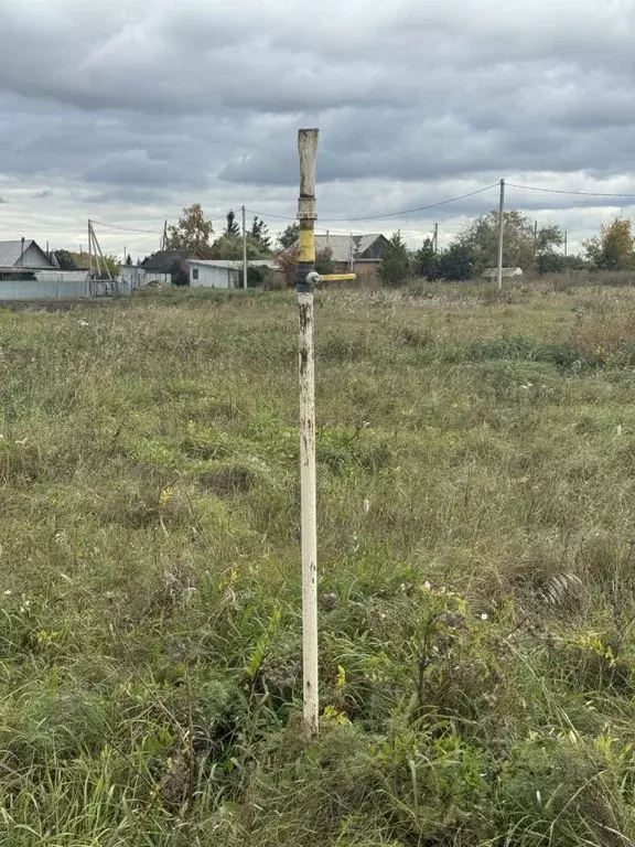 Участок в Омская область, Азовский Немецкий Национальный район, д. ... - Фото 2
