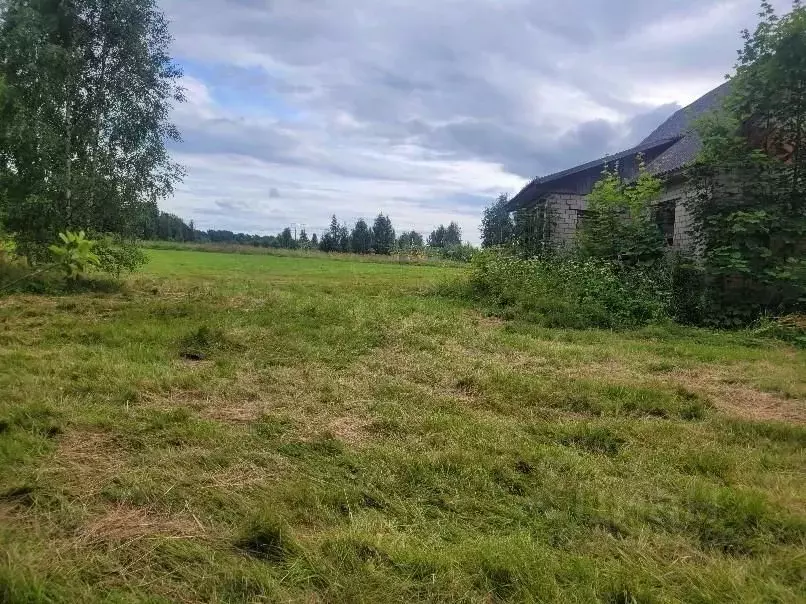 Участок в Псковская область, Гдовский муниципальный округ, д. ... - Фото 2