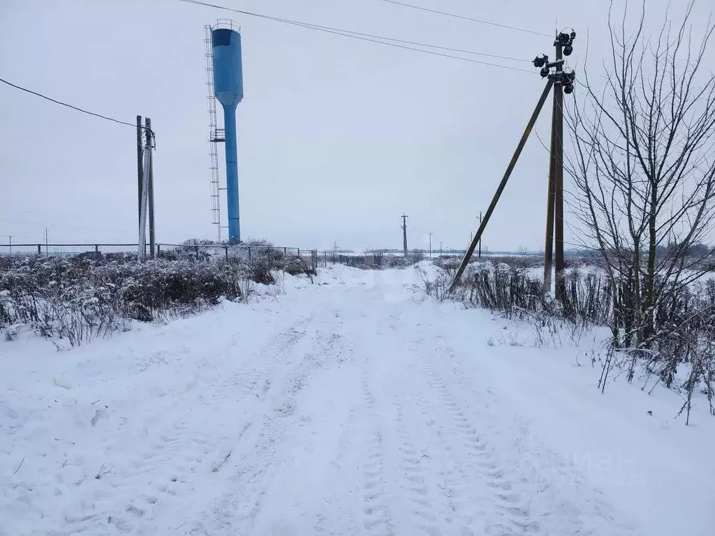 Участок в Брянская область, Брянский район, с. Глинищево  (16.45 сот.) - Фото 1