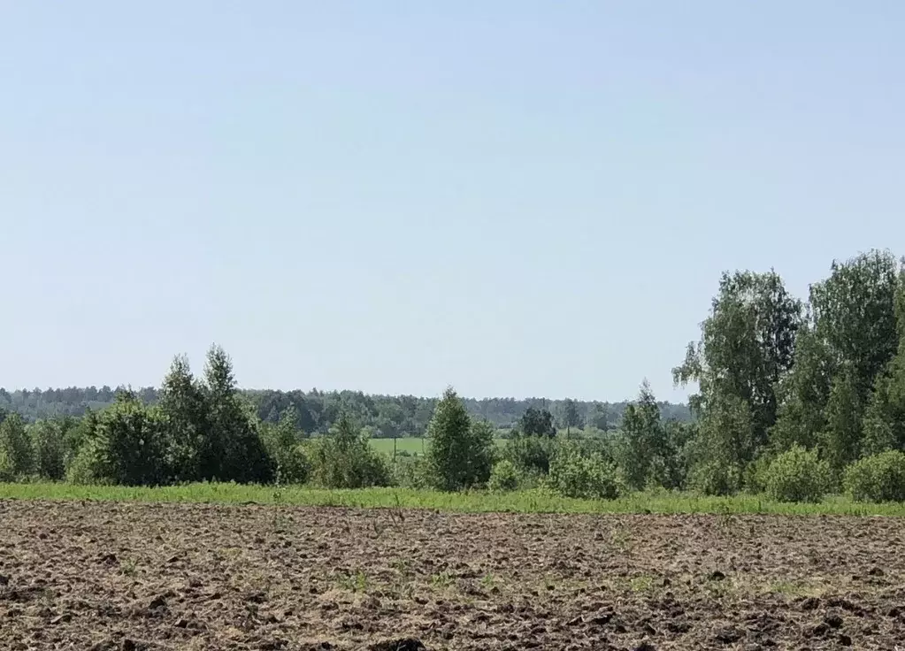 Участок в Свердловская область, Слободо-Туринский район, ... - Фото 1