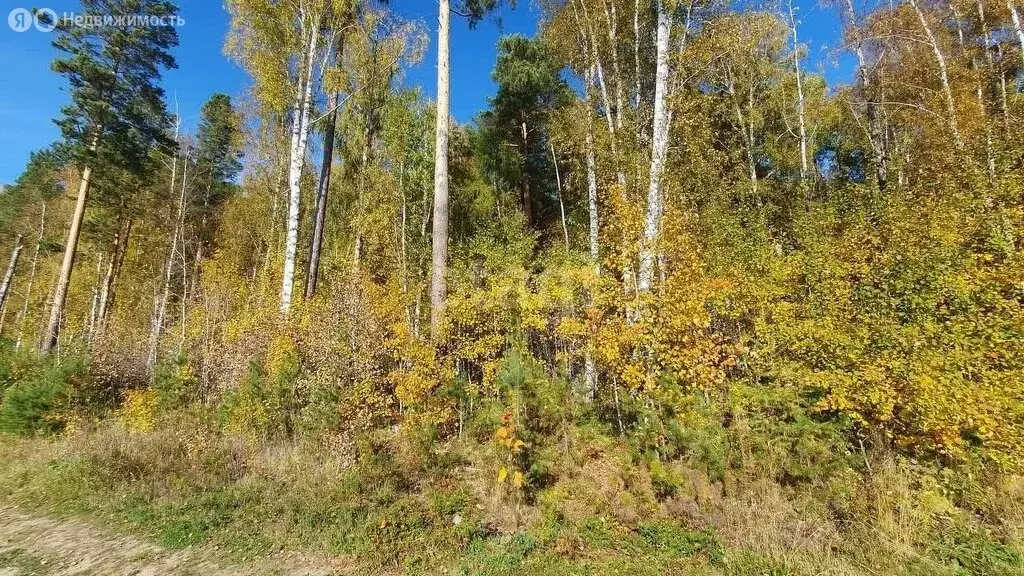 Участок в Иркутский муниципальный округ, ДНТ Городское (25 м) - Фото 1