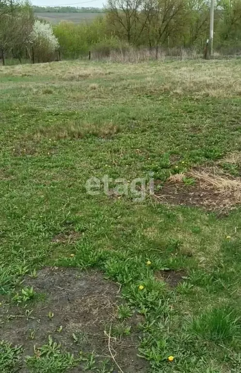 Участок в Белгородская область, Губкинский городской округ, с. Осколец ... - Фото 1