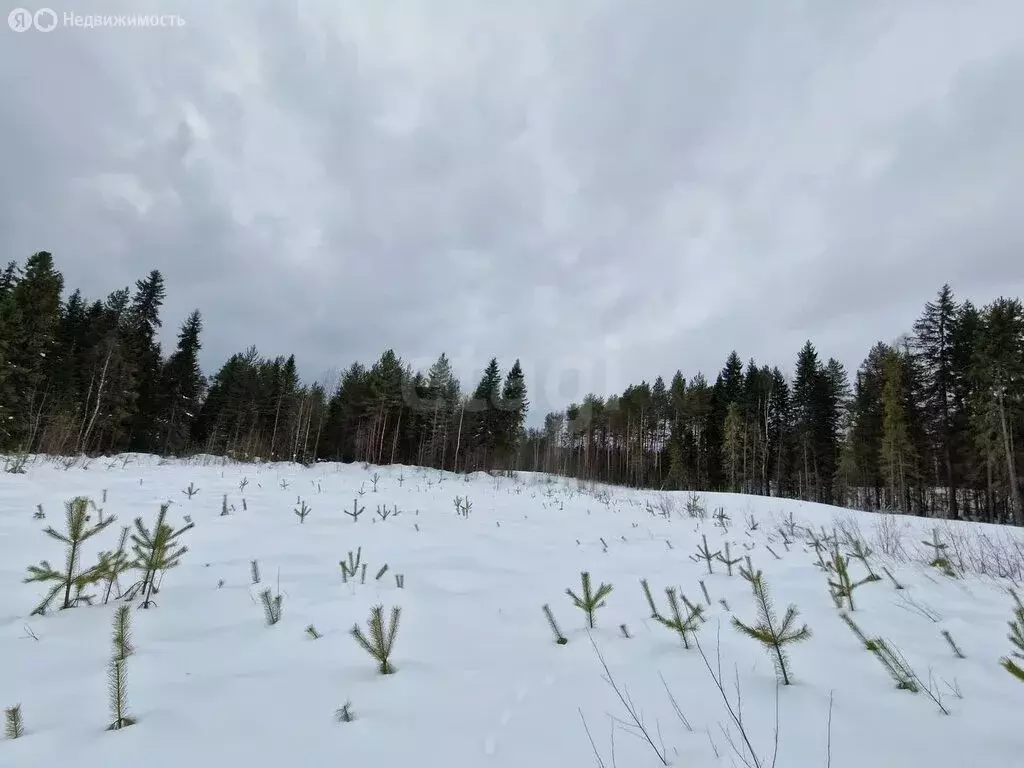 Участок в Республика Коми, муниципальный район Корткеросский, ... - Фото 2