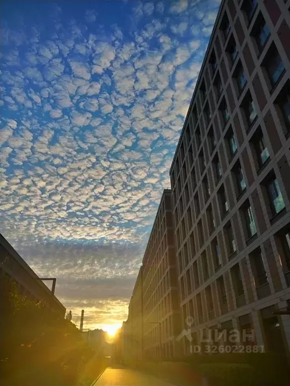 1-к кв. Санкт-Петербург Петровский просп., 28к2 (43.0 м) - Фото 2