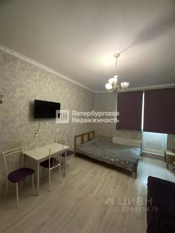 Студия Ленинградская область, Мурино Всеволожский район, аллея ... - Фото 1