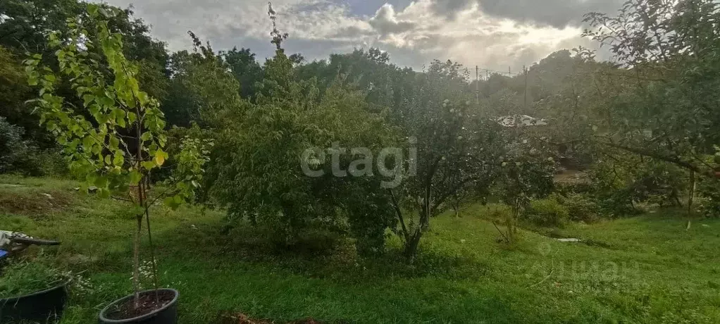 Участок в Краснодарский край, Новороссийск Голубая Даль СНТ, ул. ... - Фото 1