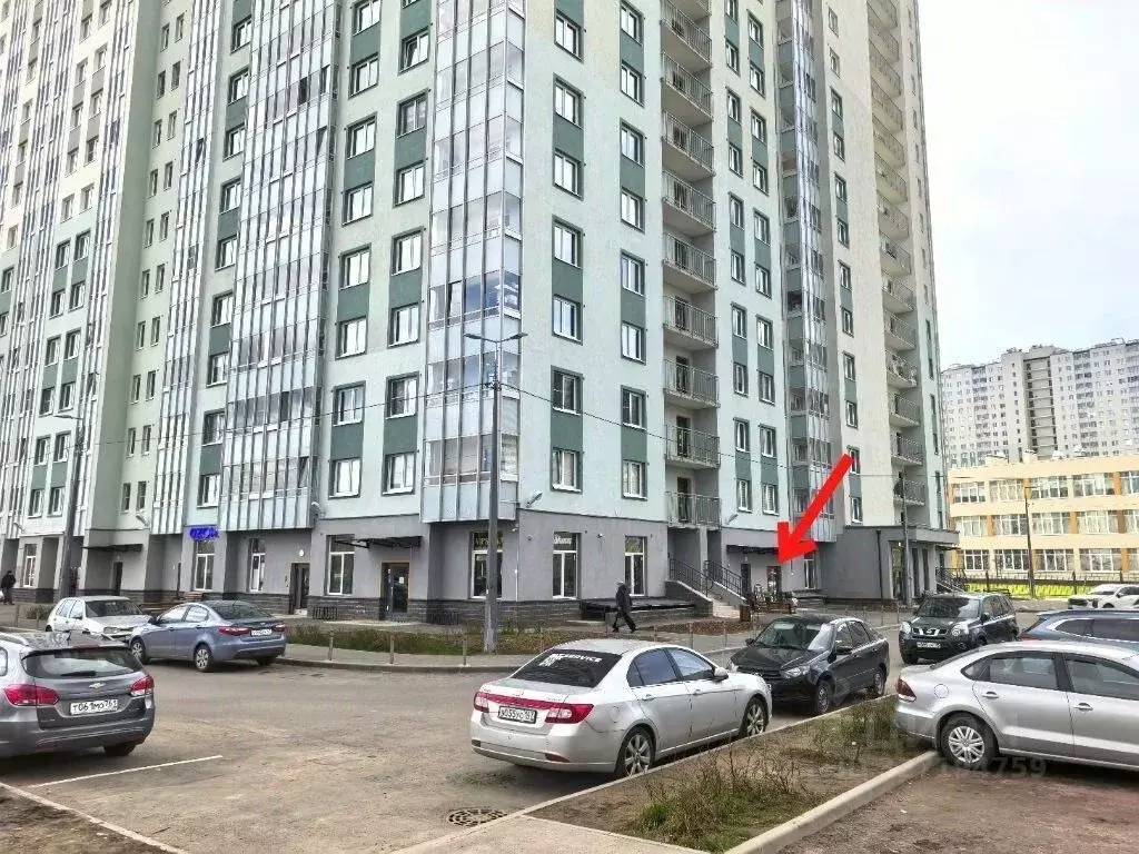 Торговая площадь в Санкт-Петербург дор. Муринская, 8к1 (65 м) - Фото 2