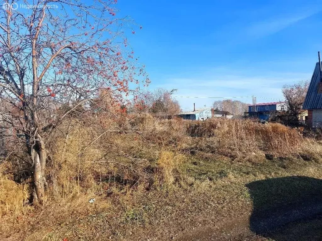 Участок в Бердск, СНТ Отрадное, 2-я улица (10 м) - Фото 2