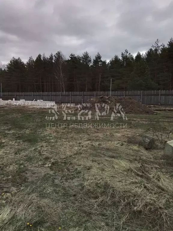 Участок в Владимирская область, Александровский муниципальный округ, ... - Фото 2