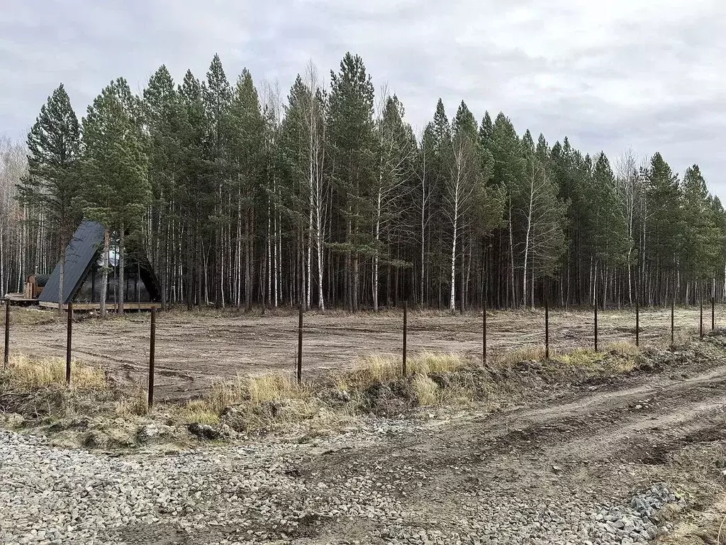 Участок в Тюменская область, Тюмень Березка СНТ, ул. 8-я Садовая, 4 ... - Фото 2